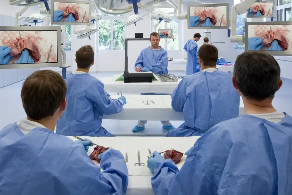 Les formations VO Medica accompagnent les professionnels dans leurs pratiques