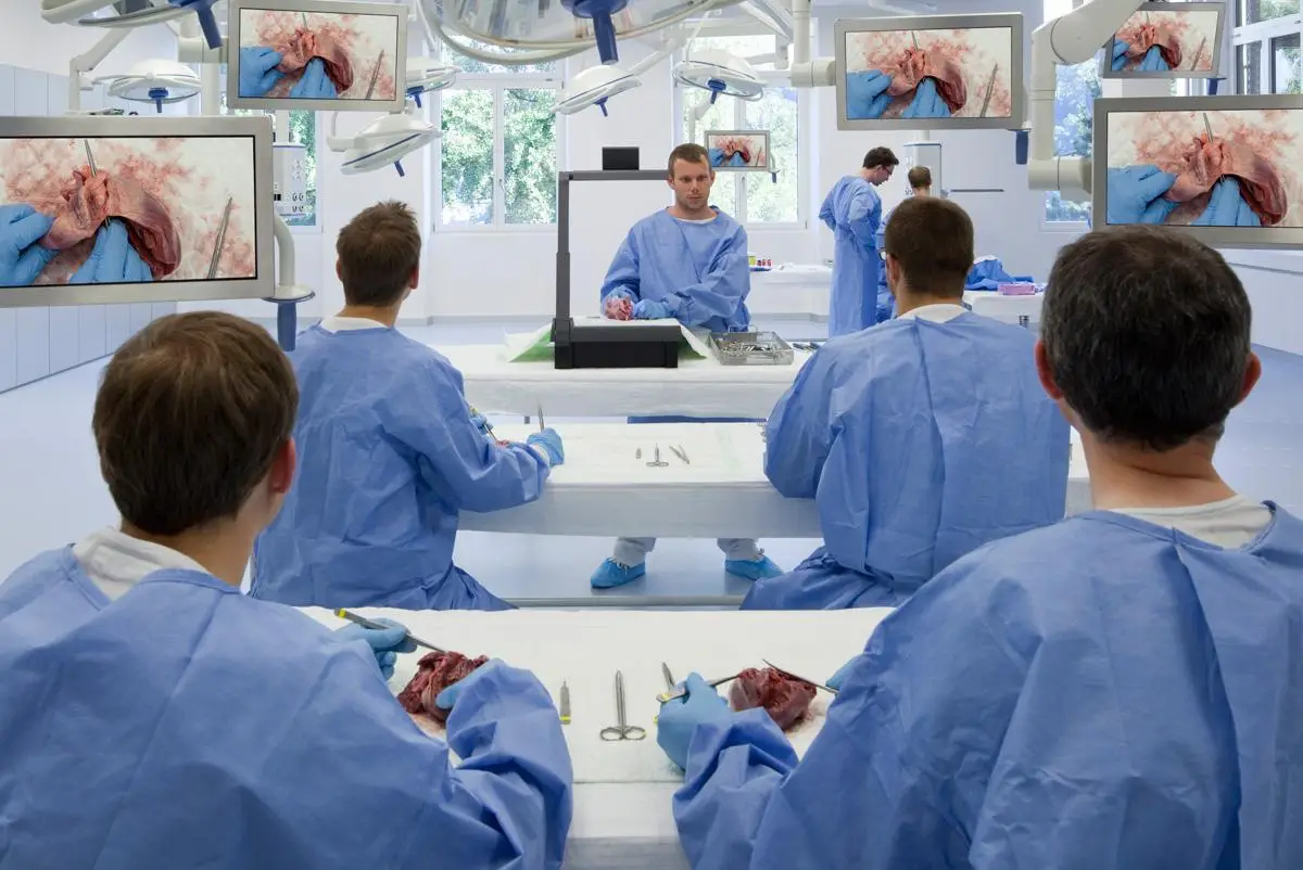 Les formations VO Medica accompagnent les professionnels dans leurs pratiques