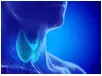 Thyroïde